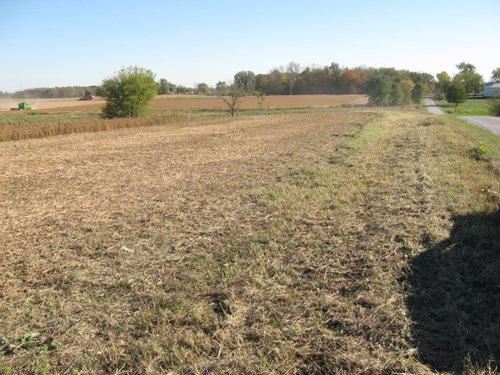 Property photo 7 - 110+/- Acres offered in 4 Tillable Tracts